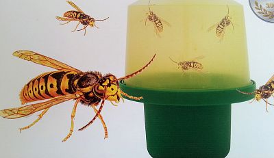 ABC past na vosy a mouchy s atraktantem