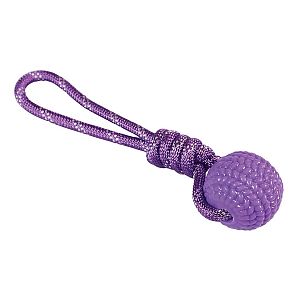 Aportovací sada pod stromeček pro střední a velké pejsky