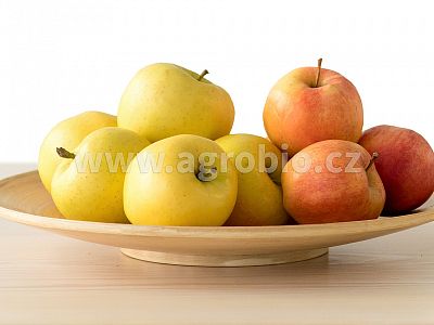 ATAK Past na octomilky - ovocné mušky 1 ks + 30 ml náplň