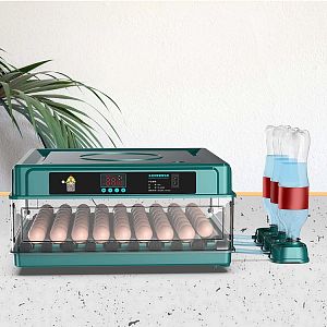 Automatická digitální líheň AGF-48 s dolíhní. Pro 48 vajec