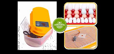 Automatická digitální líheň WQ-12 – pro 12/48 vajec