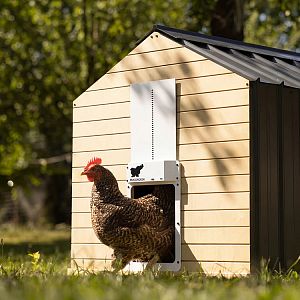 Automatická dvířka kurníku RUN-CHICKEN T50 – šedá