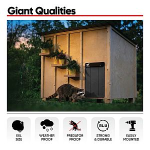 Automatická XXL dvířka kurníku RUN-CHICKEN Giant – šedá