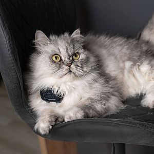 DOG GPS mini lokátor pro psy