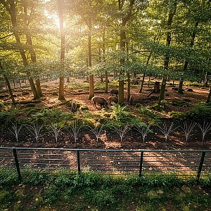 Elektrická tráva s ocelovými vodiči pro elektrický ohradník - 10 ks