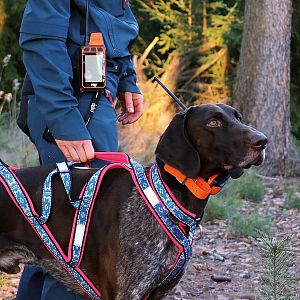 GPS obojek pro psa se zvukovým lokátorem DOG GPS X40B