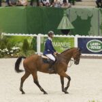 H-trap past na ovády