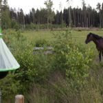 H-trap past na ovády