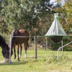 H-trap past na ovády