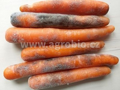 INPORO Pro Trima M - Trichoderma 500 g