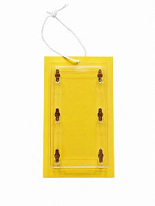 Monitorovací past na vrtuli třešňovou (Rhagoletis cerasi) - 2ks