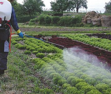 Motorový zádový postřikovač SOLO 434 Comfort - 18L