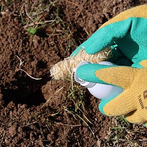 Nosič pachové látky - svitky dřevité vlny - 10 ks