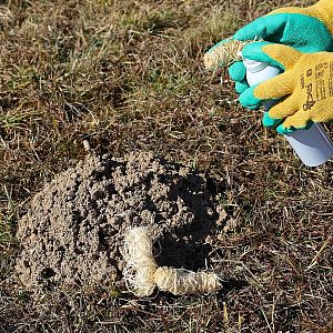 Nosič pachové látky - svitky dřevité vlny - 10 ks