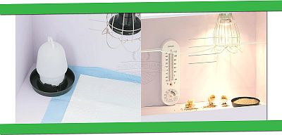 Odchovna drůbeže – umělá kvočna – AGROFORTEL OD1 – 48×30×33cm