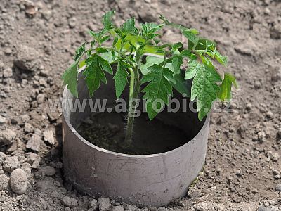 Plodová zelenina (INPORO) 100 ml koncentrát