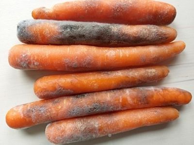 Postřik proti plísním INPORO Pro Mimozin HP - 50 ml