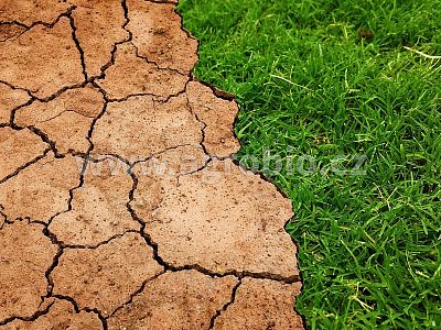 Proti suchu (INPORO) 100 g