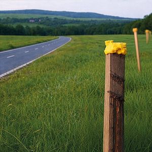 PU pěna nosič proti srážkám se zvěří