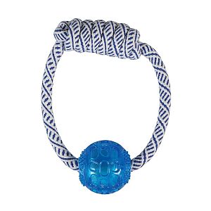 Sada hraček pro psí sportovce