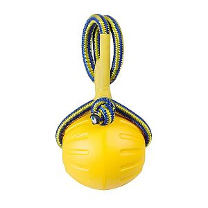 Sada hraček pro psí sportovce