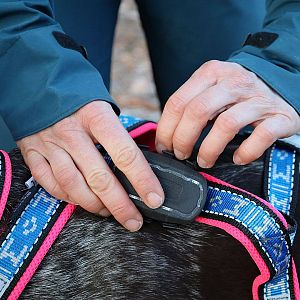 Tracker pro psy DOG GPS ultra