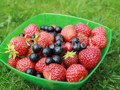 TRUMF drobné ovoce 1 kg