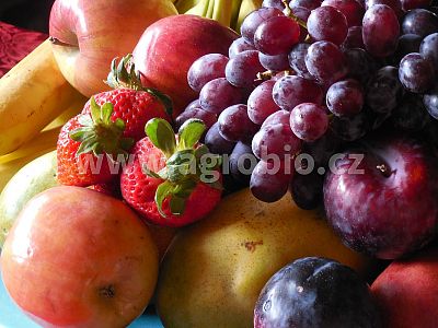 TRUMF ovocné dřeviny 1 kg