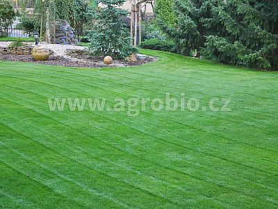 TRUMF trávník bakteria 4 kg