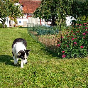 Univerzální zelená ohradníková síť, nevodivá FIX, délka 15 m, výška 90 cm