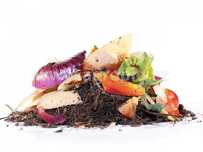 Urychlovač kompostu Gold 500 g