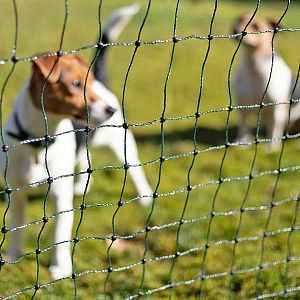 Zelená síť STANDARD pro elektrický ohradník pro psy, králíky, kočky, výška 65 cm, 25 m, 1 hrot