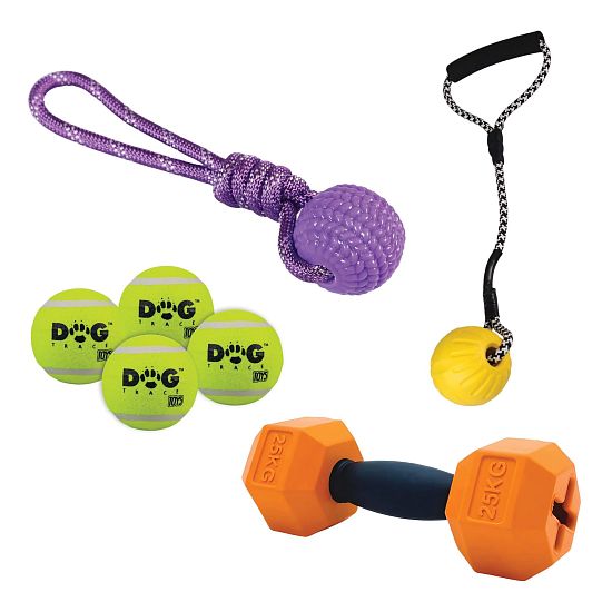 Aportovací sada pod stromeček pro střední a velké pejsky