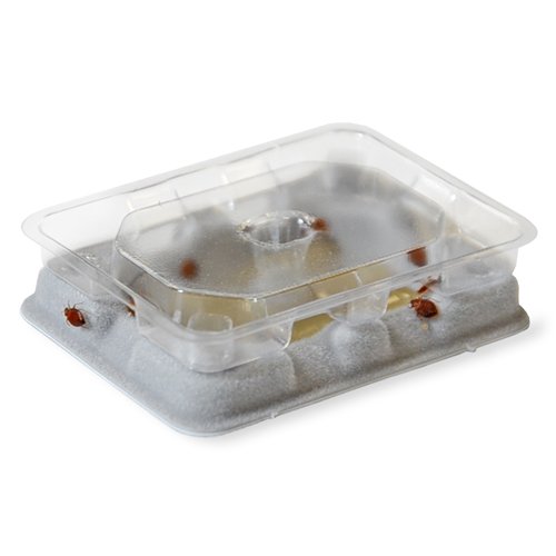 BEDBUG monitorovací past na štěnice Slider (4ks)