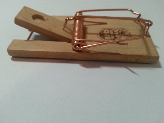 Dřevěná pastička na myši