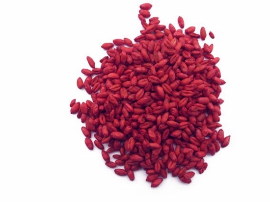 RODENTIC FAST ( zrno ) - 1 kg