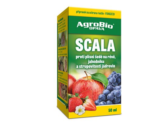Scala 50 ml