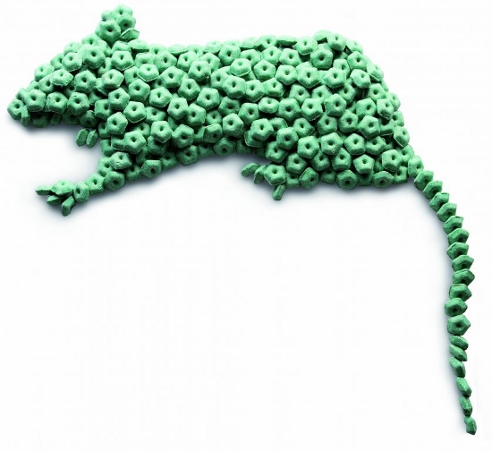 SOREXA BLOCKS 5 kg (kbelík)