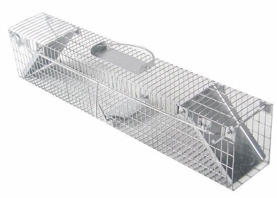 Živolovná oboustranná past na potkany 500 × 110 × 130 mm