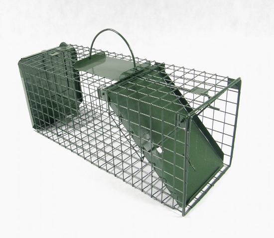 Živolovná past jednostranná na kuny 500x210x210mm - Zelená