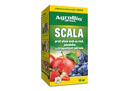 Scala 50 ml